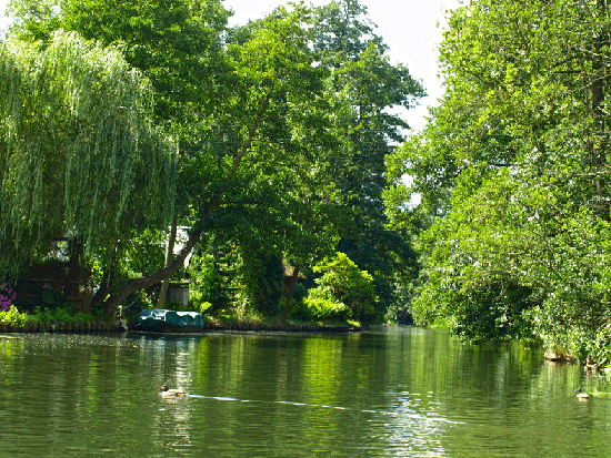 Jahresausflug Cottbus/Spreewald/Berlin 2015